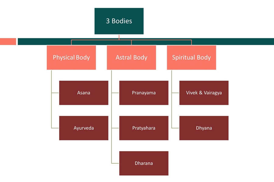 Ganzheitliche Gesundheit im Lichte von Yoga und AyurvedaGanzheitliche Gesundheit im Lichte von Yoga und Ayurveda