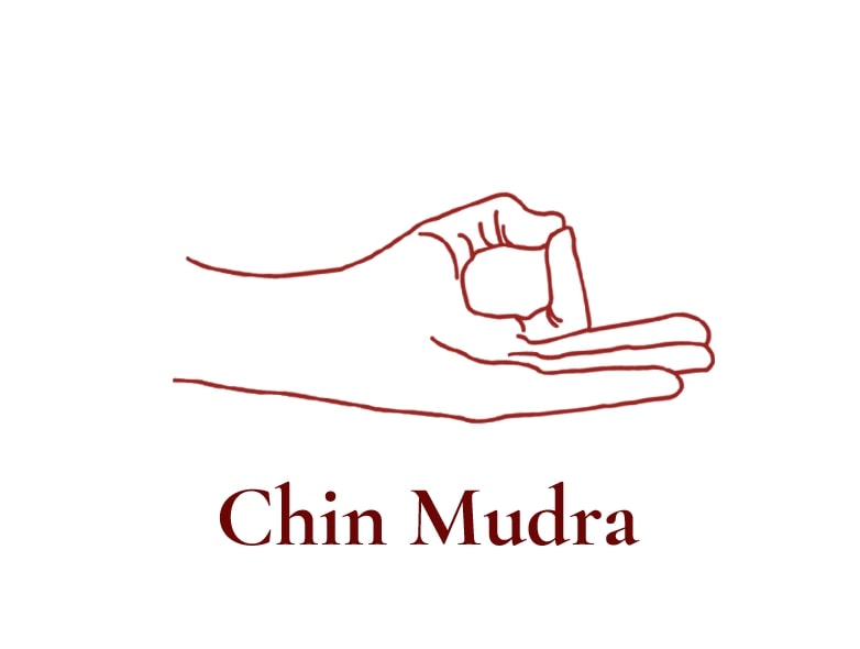 Chin Mudra
