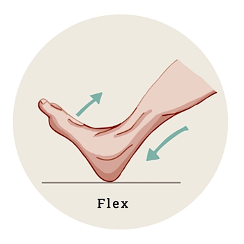 Pieds flexibles