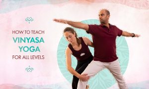 Comment enseigner le Vinyasa Yoga à tous les niveaux