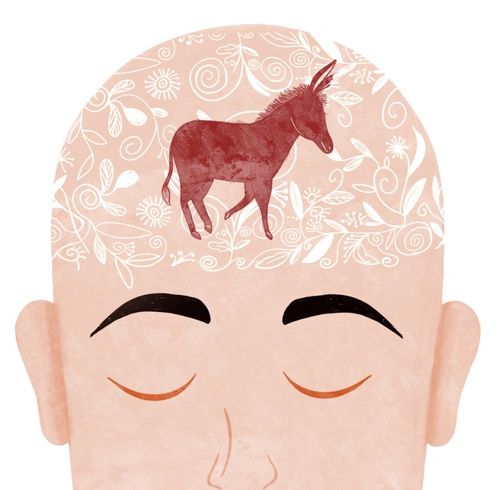 Mudha Mente de Burro Mudha Mente de Burro