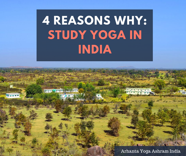 4 grunde til, at du skulle studere yoga i Indien