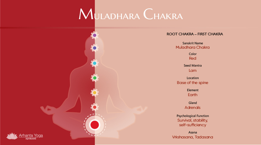 All you need to know: Root Chakra
