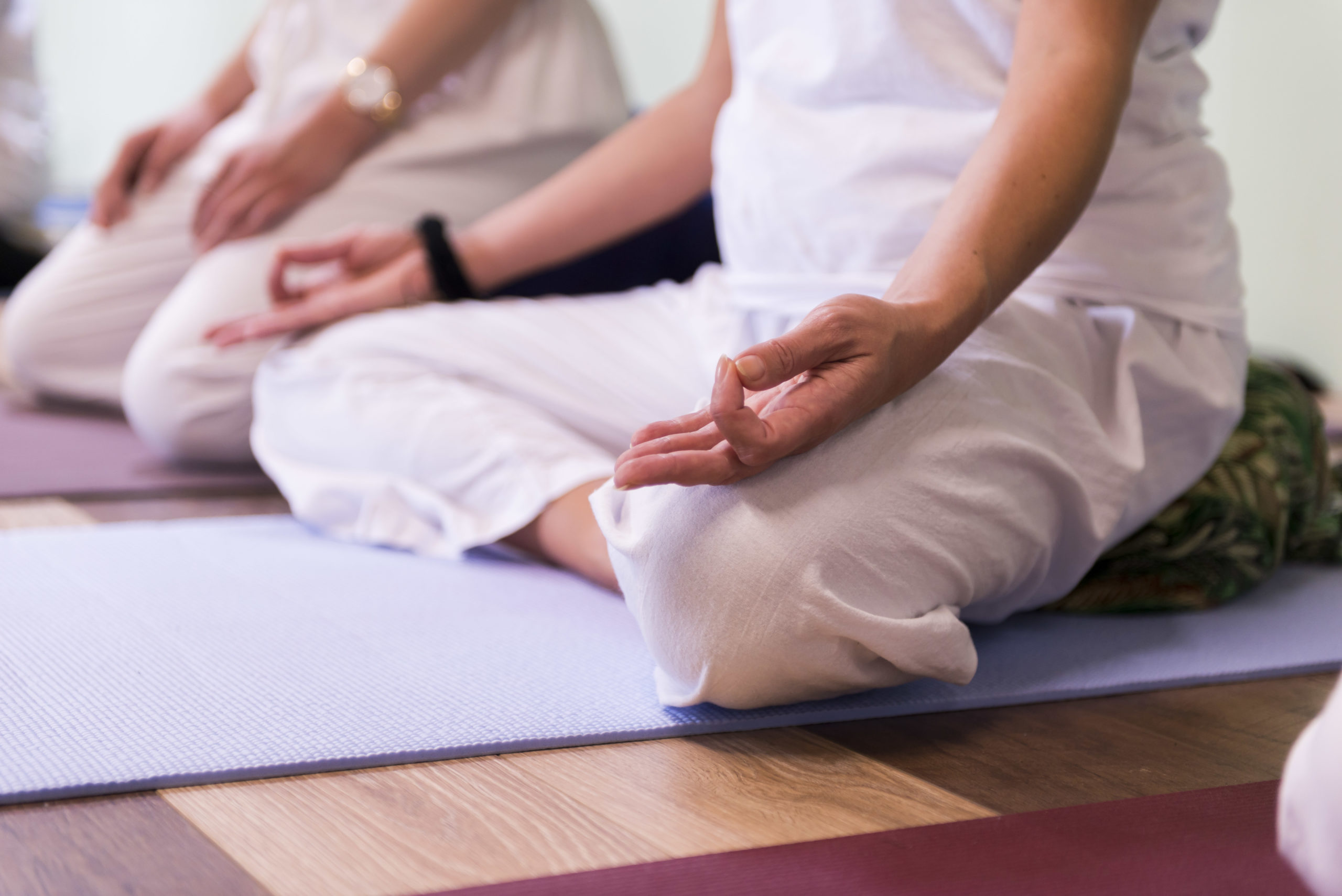 200 hour Hatha Yoga Teacher Training in Los Angeles