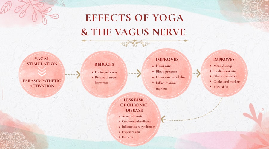 Effects of Yoga and The Vagus Nerve