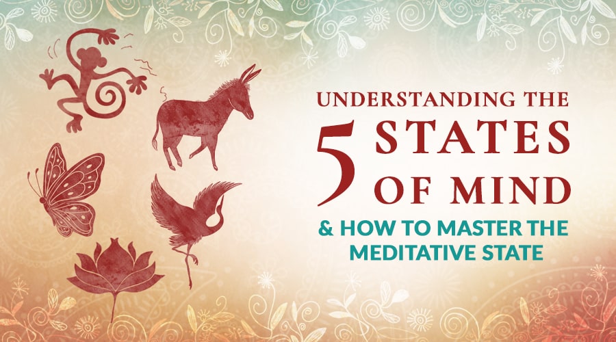 Understanding Patanjali’s 5 States of Mind & How to Master the Meditative State