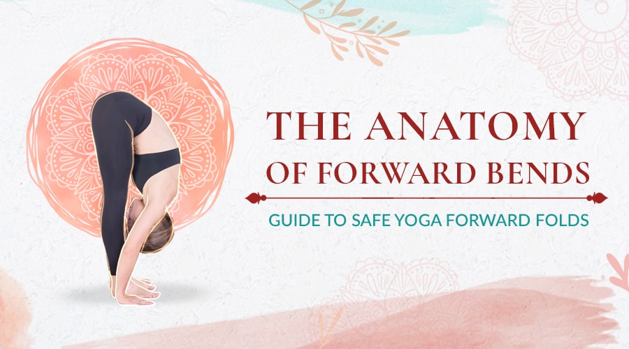 Anatomy and biomechanics or yoga forward bends and how to practice safe forward folding yoga poses.
