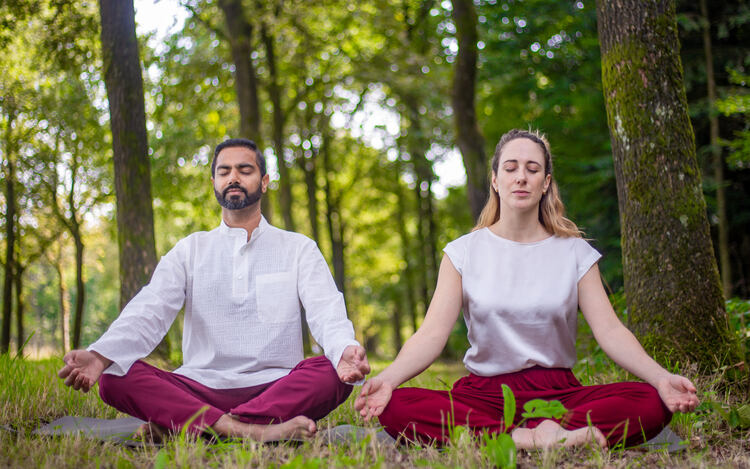 A guru and a Jnana yogi Practice Jnana Yoga