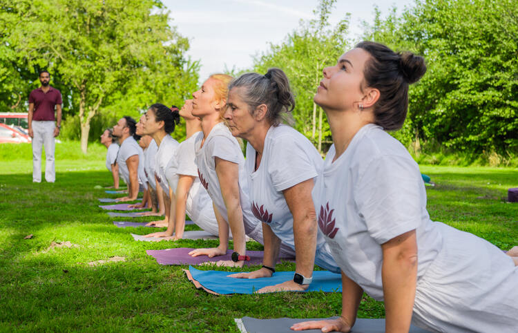 UK yoga students practice cobra pose at a 200-hour yoga teacher training course at Arhanta Yoga Ashram in Netherlands