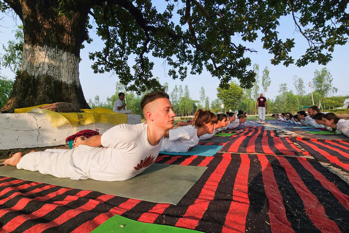 YTT students practicing Bhujangasana on ashram’s ground, under a big tree