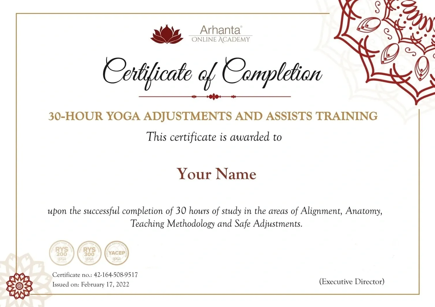 30 Hour Yoga Adjustments and Assists certification