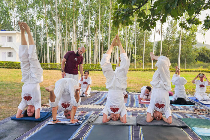 New yoga teacher observing students performing Salamba Sirsasana