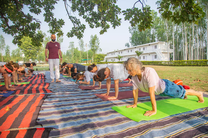 Students practicing Plank pose at the Ashram ground Outdoor plank pose practice in a group setup
