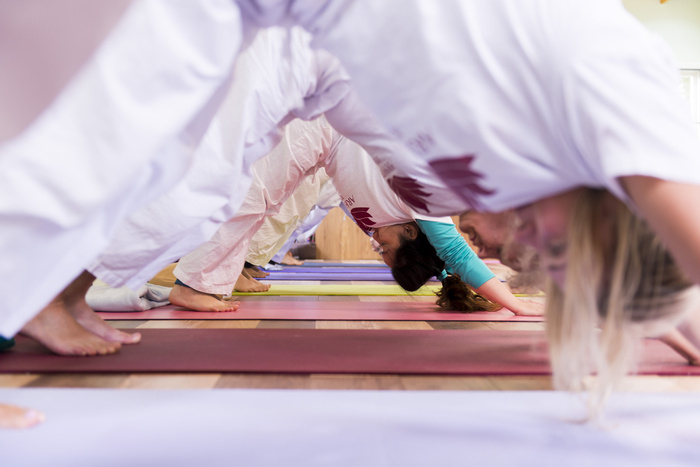 Students transitioning into Downward-Facing Dog during a Hatha Yoga Flow practice